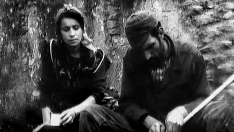 Backdrop image for movie The Charcoal Maker