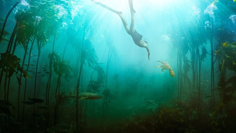 Backdrop image for movie My Octopus Teacher