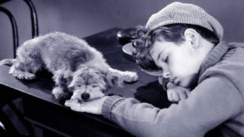 Backdrop image for movie The Mighty McGurk