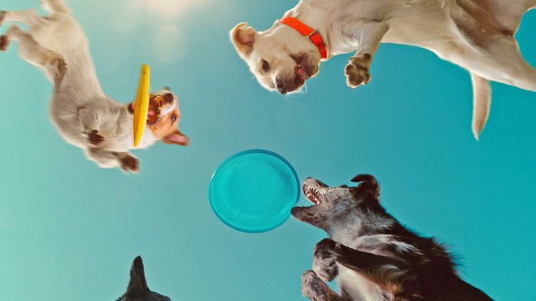 Backdrop image for movie Inside the Mind of a Dog