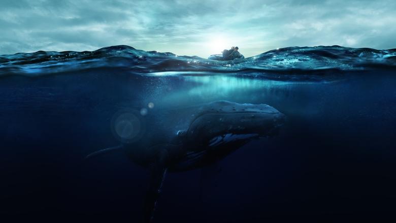Backdrop image for movie Fathom