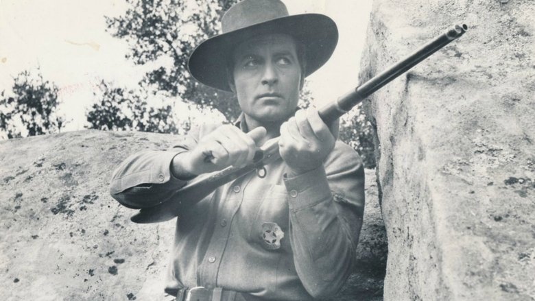 Backdrop image for movie The Lone Gun