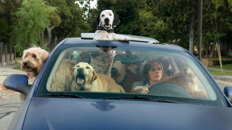 Backdrop image for movie Year of the Dog