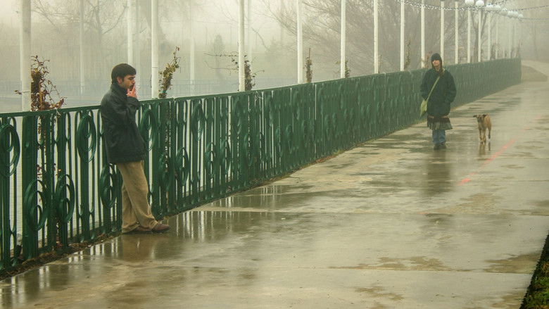 Backdrop image for movie Because of a Fly