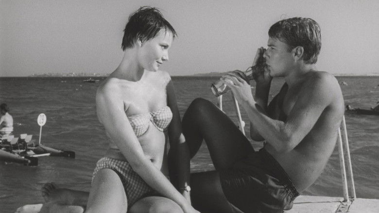 Backdrop image for movie The Sun and the Shadow