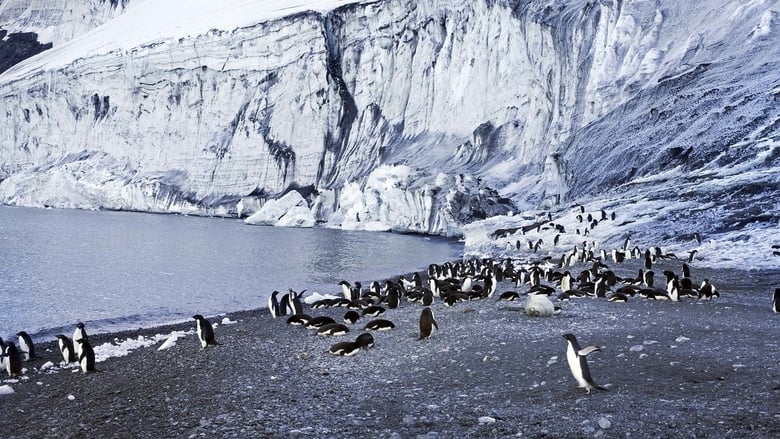 Backdrop image for movie Antarctica: The Frozen Time