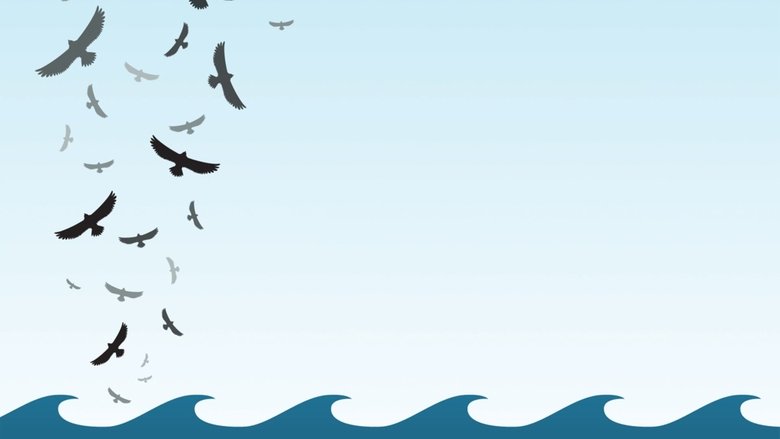 Backdrop image for movie In the Wake of the Flood