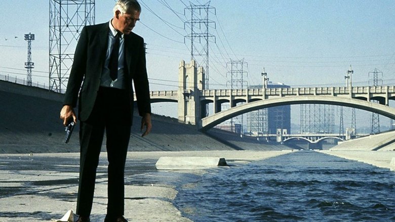 Backdrop image for movie Point Blank