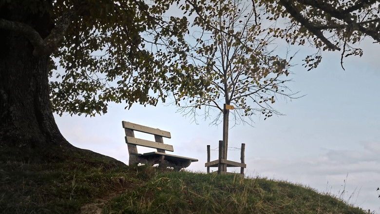 Backdrop image for movie Die Weisse Arche