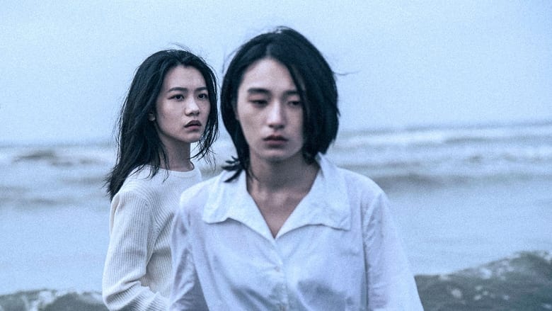 Backdrop image for movie Who'll Stop the Rain
