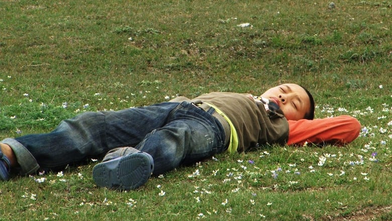 Backdrop image for movie OLO, the Boy from Tibet