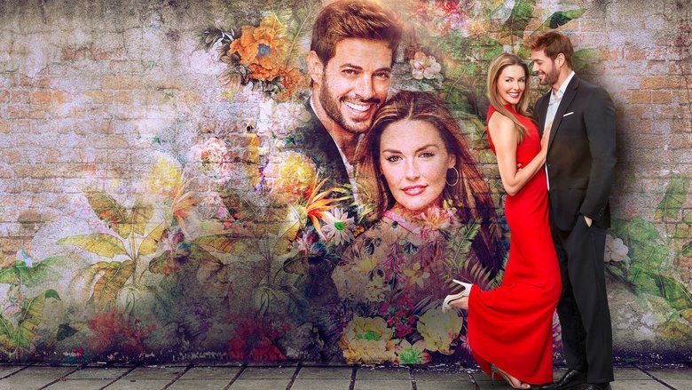 Backdrop image for movie South Beach Love