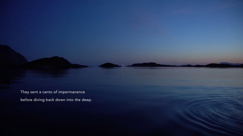 Backdrop image for movie Acoustic Ocean