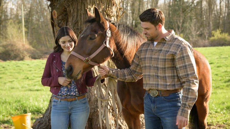Backdrop image for movie Vote One for Love