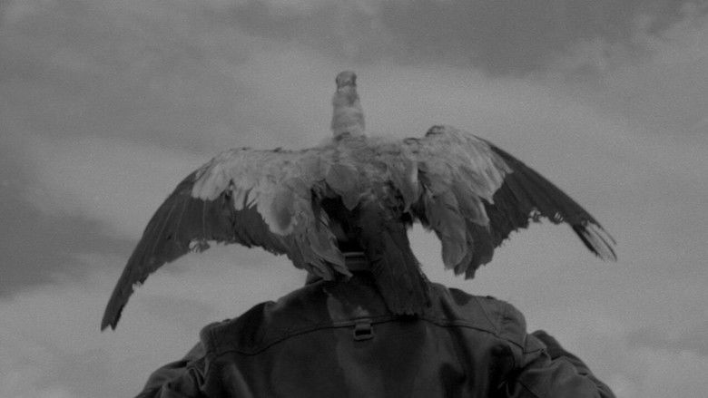 Backdrop image for movie Takanakuy