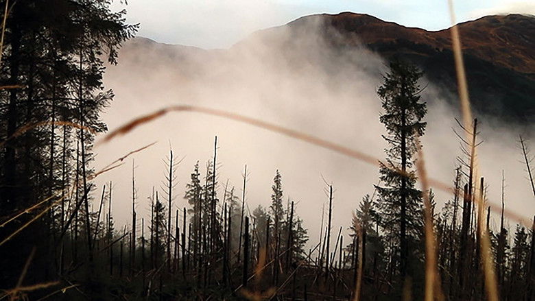 Backdrop image for movie Life May Be