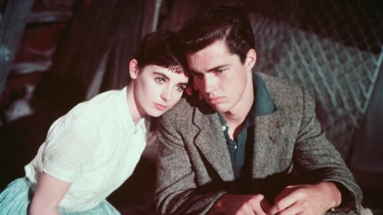 Backdrop image for movie The Diary of Anne Frank