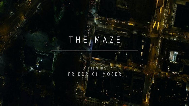 Backdrop image for movie The Maze