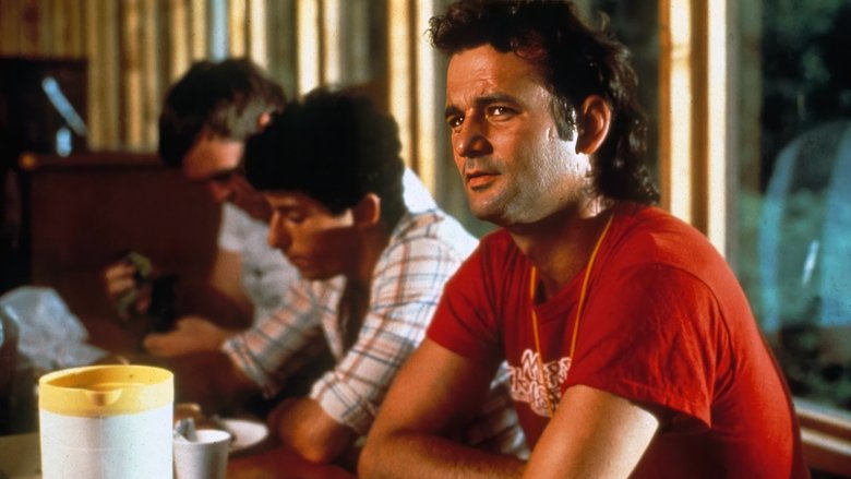 Backdrop image for movie Meatballs