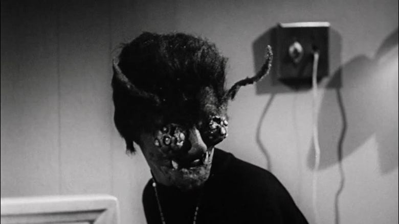 Backdrop image for movie The Wasp Woman