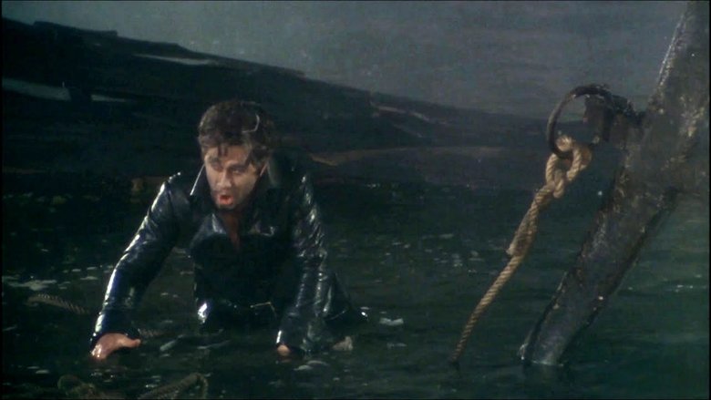 Backdrop image for movie Der Fliegende Holländer