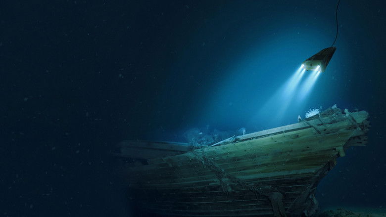 Backdrop image for movie Endurance