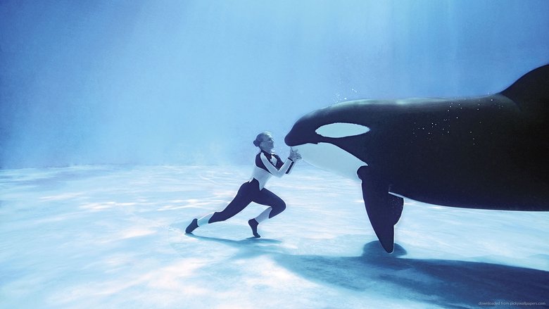 Backdrop image for movie Blackfish