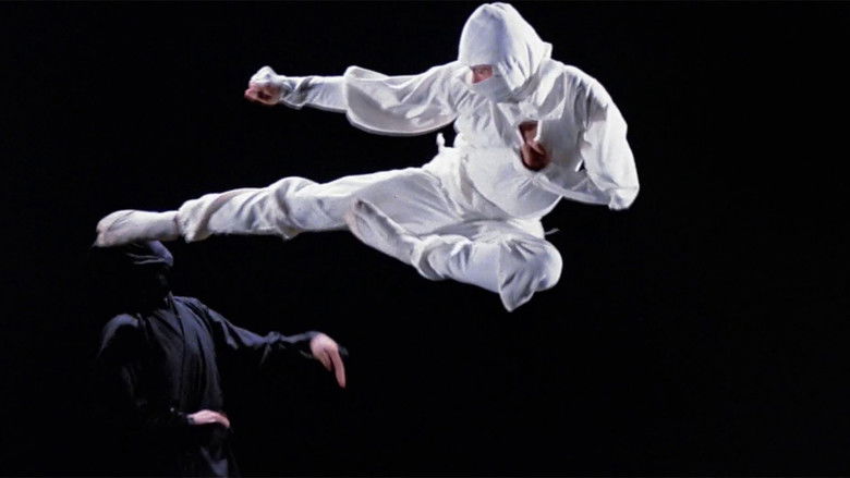 Backdrop image for movie Enter the Ninja