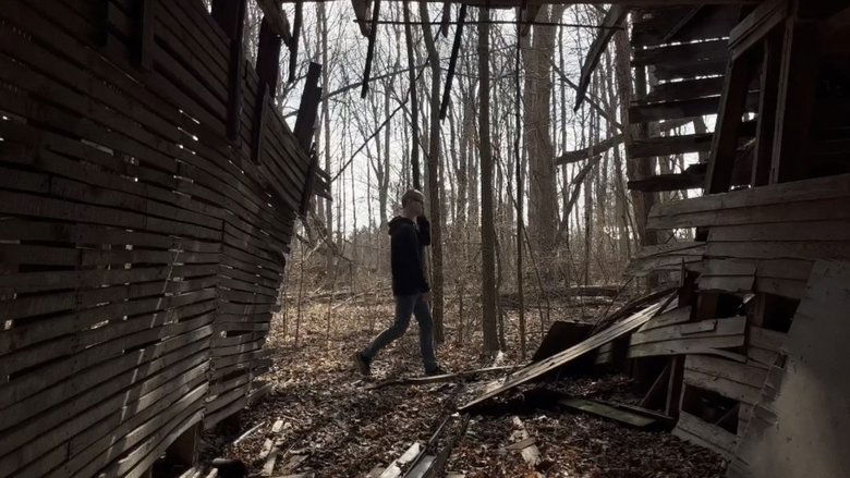 Backdrop image for movie Beneath the Canopy