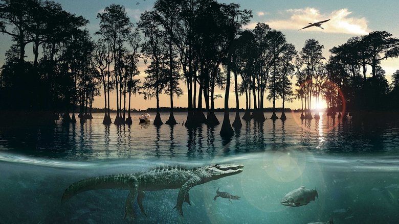 Backdrop image for movie Hurricane on the Bayou