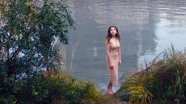 Backdrop image for movie Honey Cigar