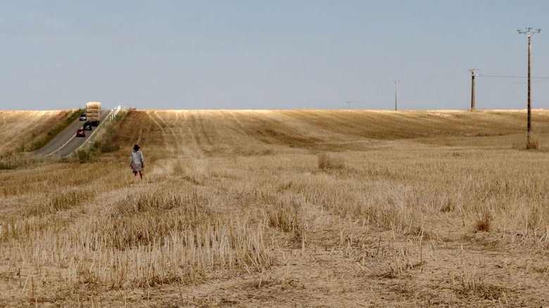 Backdrop image for movie La grâce du sillon
