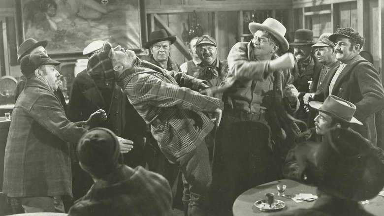 Backdrop image for movie Woman of the North Country