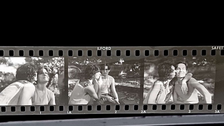 Backdrop image for movie Falando das Flores