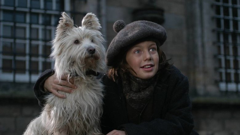 Backdrop image for movie The Adventures of Greyfriars Bobby