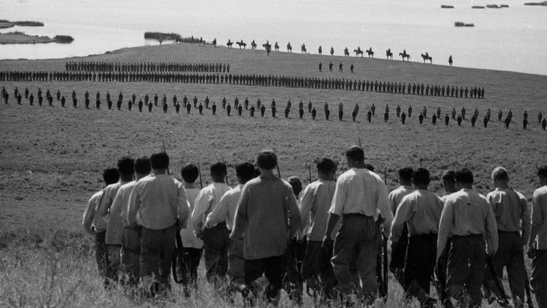 Backdrop image for movie The Red and the White