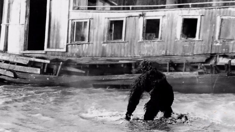Backdrop image for movie Return to Boggy Creek