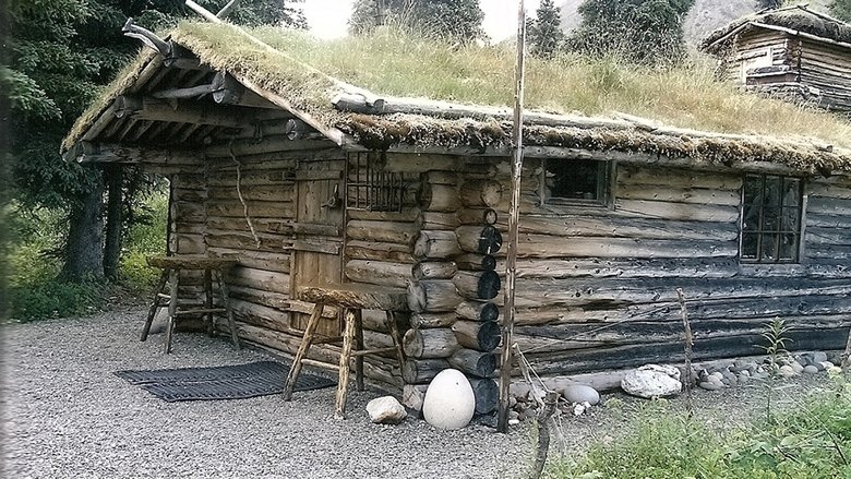 Backdrop image for movie Alone in the Wilderness Part II - 2011