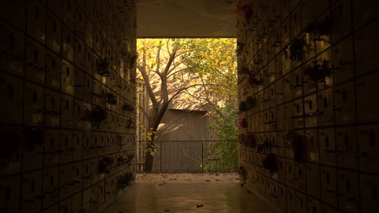 Backdrop image for movie Sanctuary
