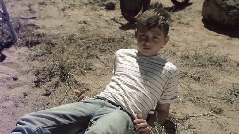 Backdrop image for movie Dotty