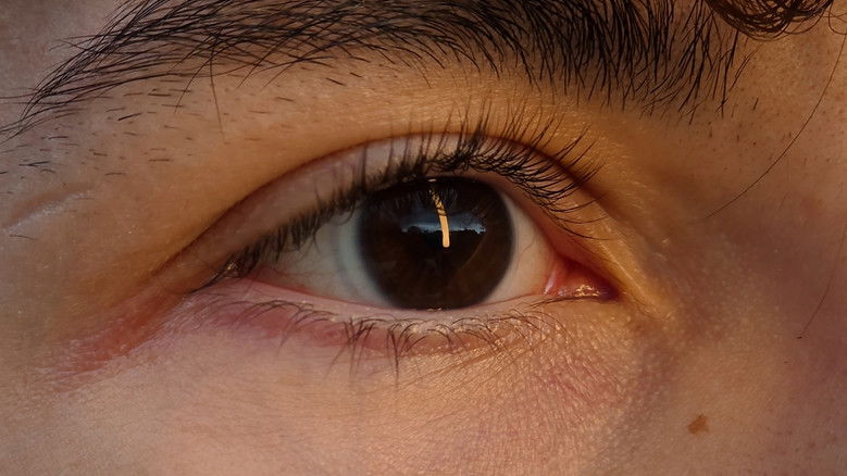 Backdrop image for movie Bon Vivant