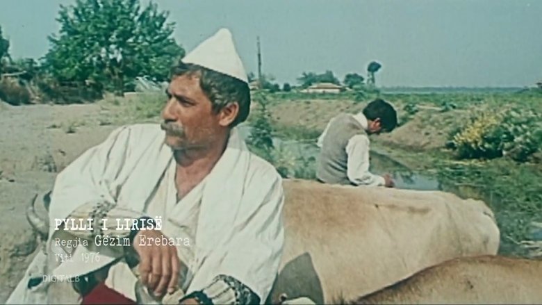 Backdrop image for movie The Forest of Freedom
