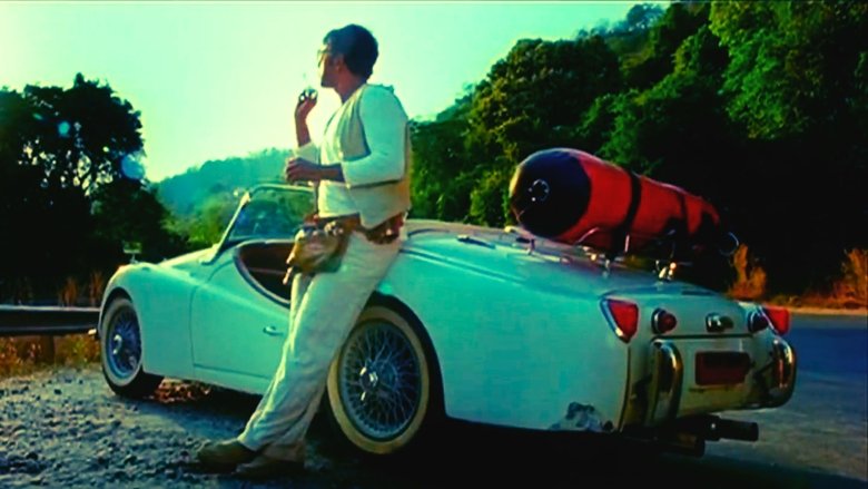 Backdrop image for movie Paramathma