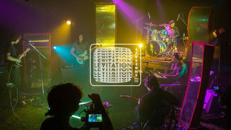 Backdrop image for movie Post Animal - Levitation Sessions