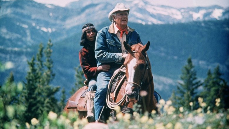 Backdrop image for movie Mustang Country