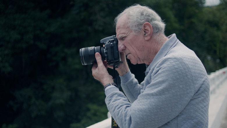 Backdrop image for movie Silêncio das Asas