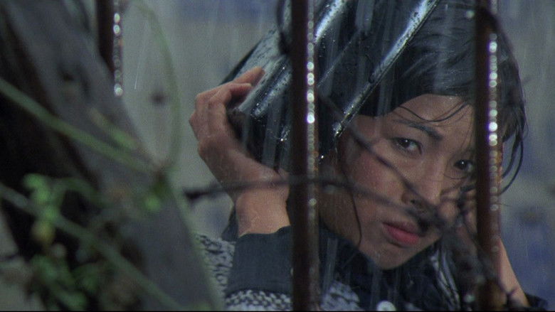 Backdrop image for movie Angel Guts: Nami