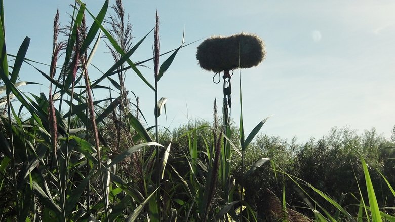 Backdrop image for movie In a Silent Way