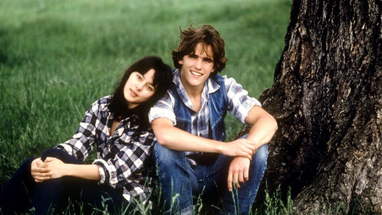 Backdrop image for movie Tex