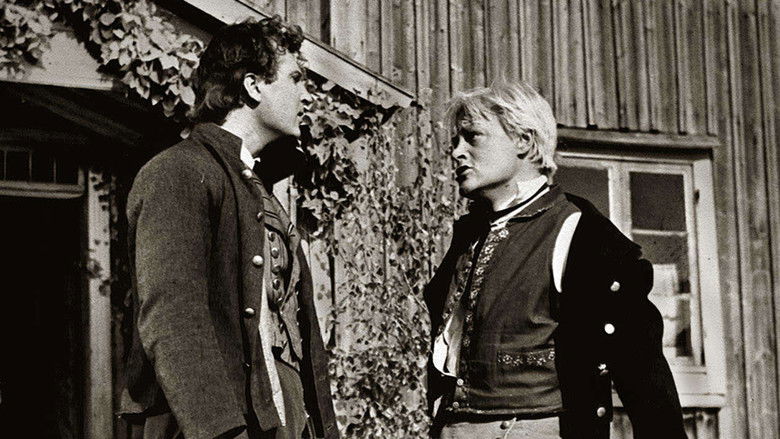 Backdrop image for movie Nummisuutarit